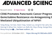 中山六院李孟鸿团队发现胰腺癌耐药新机制并提出联合治疗新策略