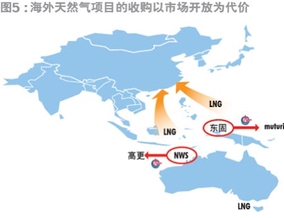 新财富:中海油海外并购隐含危机剧增风险